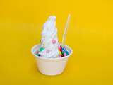 Classique pour de délicieuses glaces au yaourt maison