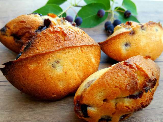 Recettes d'Amélanche