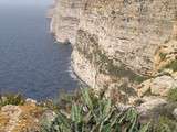 Falaises de Ta-Cenc, Gozo