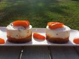 Cheese cake abricots
