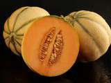 Avec sorbeti�re : Melon : Glace au melon