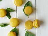 Macarons citron-basilic