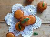 Macarons infiniment abricot-basilic
