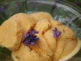Crème glacée aux abricots et aux fleurs de lavande