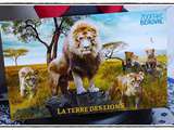 Lions d'Afrique chez nous.... 26 juin 2017