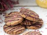 Biscuits aux pépites de chocolat (sans gluten et sans sucre)