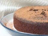 Gâteau à la vapeur au chocolat (ig bas & cuisson au thermomix)