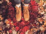 Humeur en automne comment retrouver la sérénité