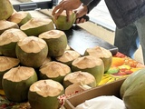 L’eau de coco, parfaite pour s’hydrater et se minéraliser