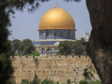 Palestine : le plus beau de mes rêves porte ton nom