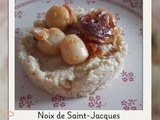 Noix de Saint-Jacques au chou-fleur