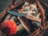 Opinel : véritable succès de la marque savoyarde avec ses couteaux de cuisine