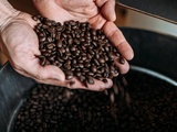 Torréfacteur artisanal vs industriel : quelles différences dans votre tasse de café