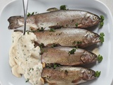 Truite à la ciboulette, sauce crémeuse au vin blanc