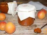 Confiture d'abricot allégée à l'agar agar (Thermomix)