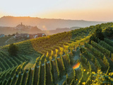 Barolo : 9 choses à savoir sur les vin de l’appellation