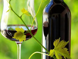 Comprendre le vin nature en 8 points