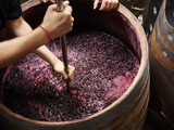 Comprendre les tannins en 8 points