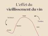 ⏳ Le vieillissement du vin