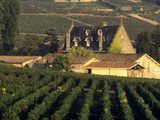 Lussac Saint-Emilion : 6 choses à savoir sur l’appellation