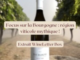 🍷 Pépite de Bourgogne : focus sur ce vignoble mythique