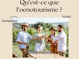 🍷 Qu’est-ce que l’oenotourisme et où en profiter pleinement