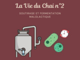 Vie du Chai n°2 : la fermentation malo-lactique 🐛