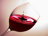 Vin chambré : explications et guide complet