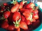 Entre 2 averses, notre premier récolte de fraises
