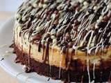 Cheesecake base Brownie