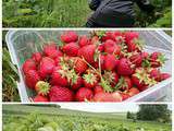 Confiture de fraises