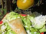 Big samoussas thon tomate haricots rouge