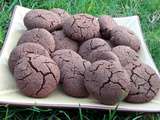 Biscuit chocolat sarrasin (sans gluten et sans lactose)