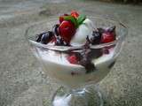 Frozen yogurt à la vanille, et fruits frais et sauce au chocolat