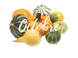 Fruits et légumes du mois d’octobre