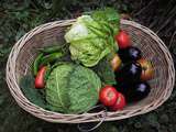 Où trouver facilement vos fruits & légumes locaux