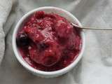Creme glacee Soja Fruits Rouges