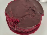 Gateau cru Framboise Chocolat