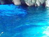 Grotte blue Grotte bleue à Malte 
Un magnifique dégradé de bleu.
# grottoblue #cave #malte #malta