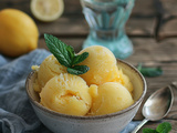 Glace à la Sorbetière : Guide Complet pour des Glaces Maison Onctueuses
