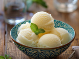 Glace Sorbetière : Guide Complet pour Réaliser des Glaces Maison Onctueuses