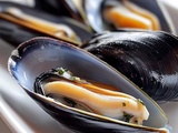 Moules Beurre Ail : Recette Savoureuse et Facile à Préparer