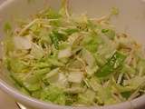Salade de fèves germées et de chou chinois Viviane