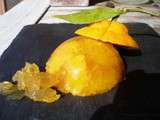 Orange de montagne-gelée de Jonagold, earl grey et cédrat