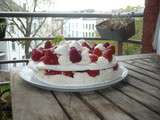 Pavlova fraises et framboises