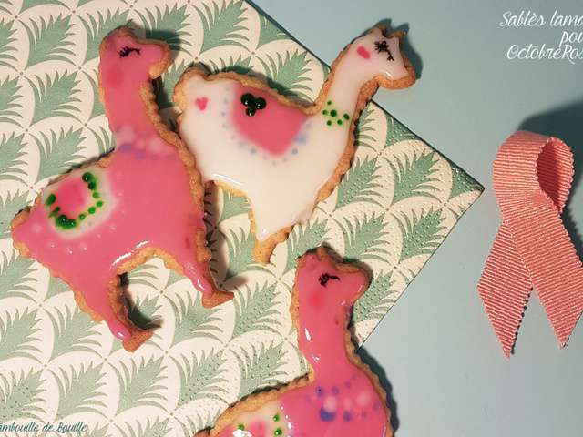 Les Meilleures Recettes De Lama