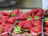 Gariguette : la fraise précoce française, sa culture et sa saison