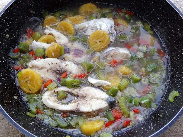Recettes de Bouillon et Poisson