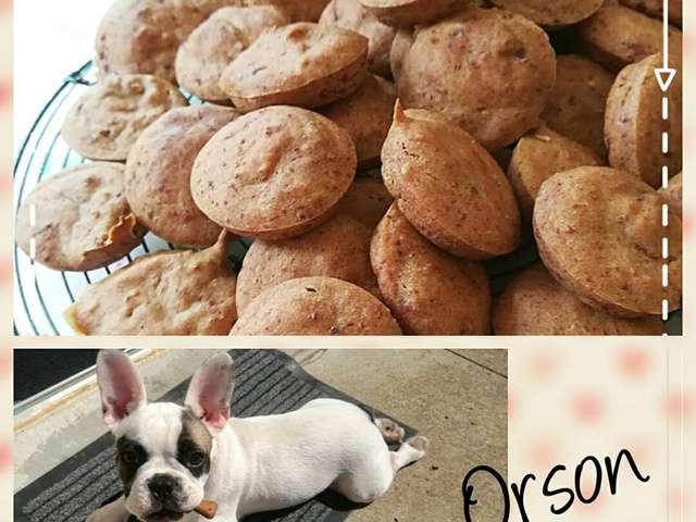 Les Meilleures Recettes De Chien 6