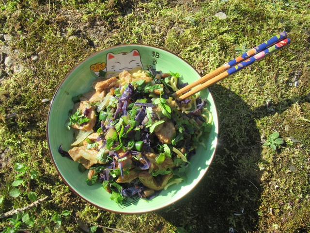 Salade de nouilles soba au sésame - Hop dans le wok!